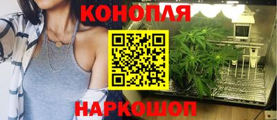 Альфа ПВП Владивосток