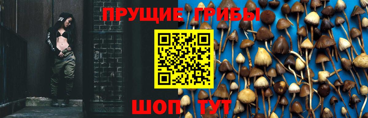 Железногорск  Псилоцибиновые грибы Psilocybe  Вход с VPN  купить наркотик  Псилоцибиновые грибы MAGIC MUSHROOMS 